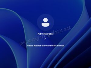 Microsoft Windows Server Installation